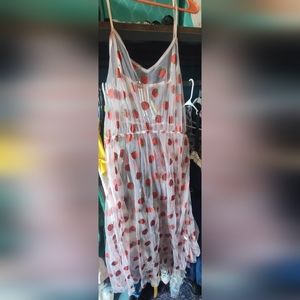 Sheer Strawberry Cover-up Dress